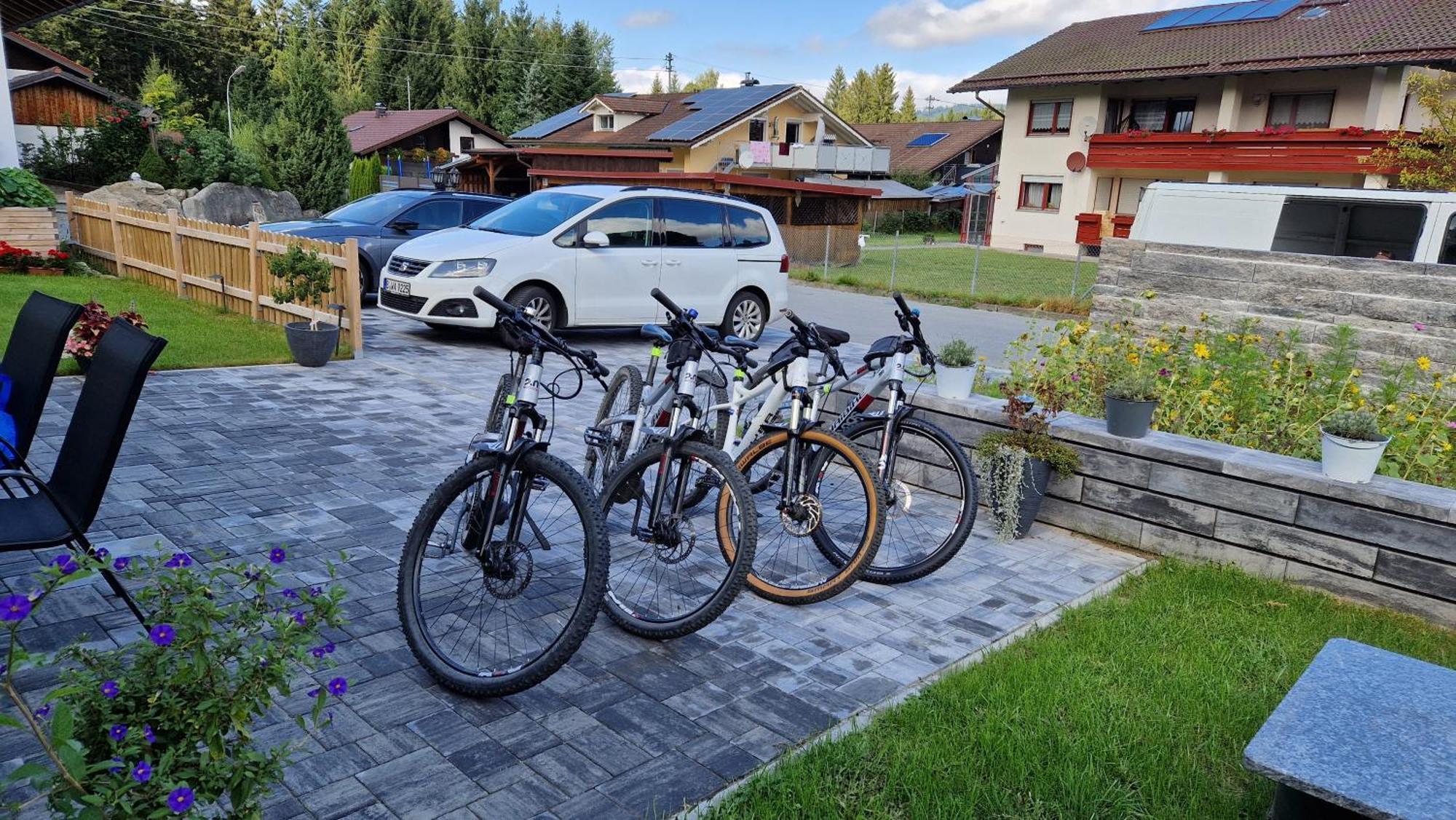 Ski-Bike-Apartment Bayerwald Lohberg Exterior photo